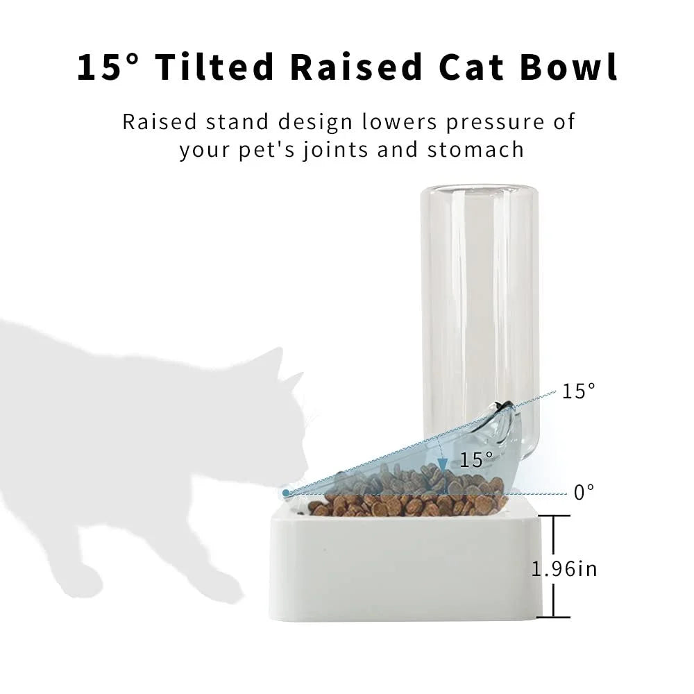 Tilted Cat Bowl Set for Food and Water, Food Feeding Raised Dishes for Puppies