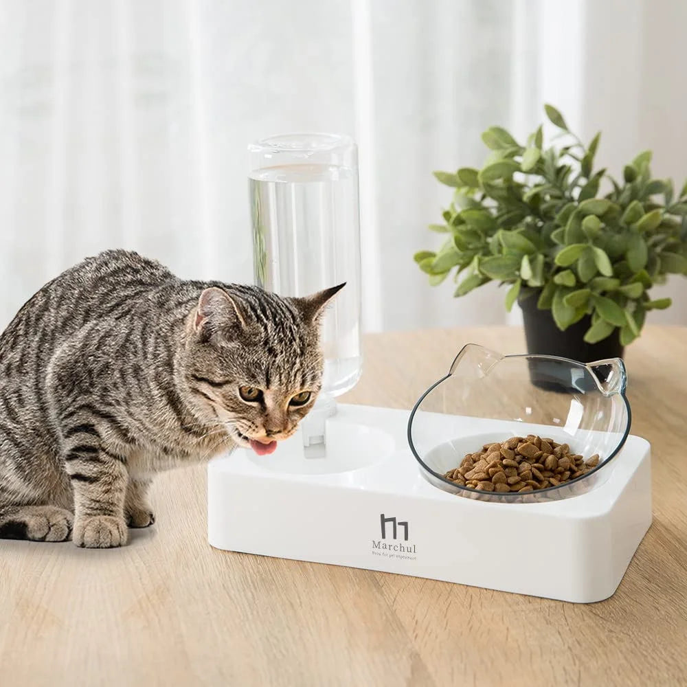 Tilted Cat Bowl Set for Food and Water, Food Feeding Raised Dishes for Puppies