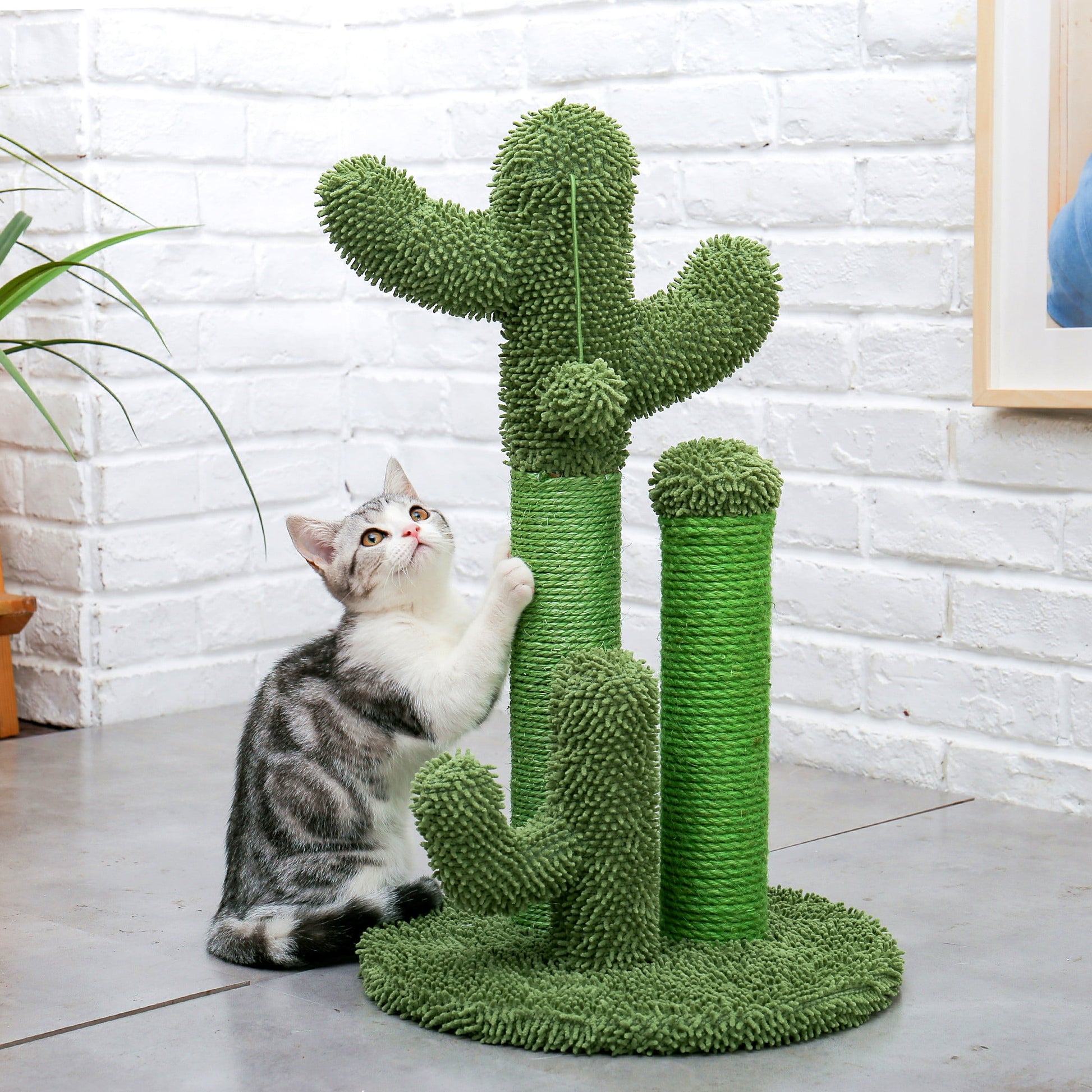 23" Cactus Cat Scratching Posts Medium Sisal Cat Scratcher,Green